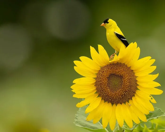 My Favorite Bird Photos I Took This Year. Here's To An Even Better 2023!