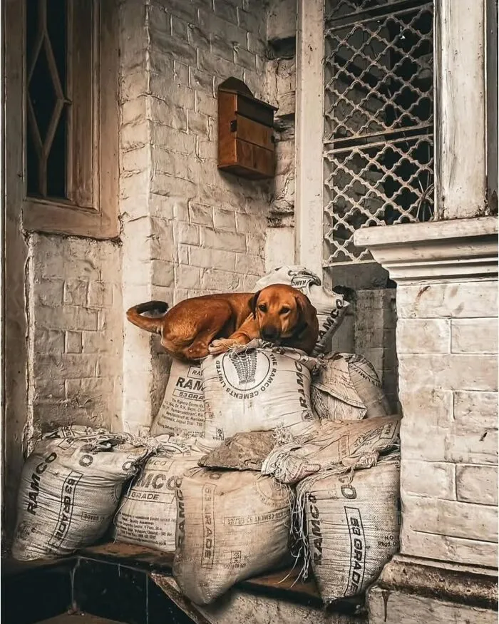 40 Cautivadoras fotos callejeras seleccionadas por «Pure Street Photography»