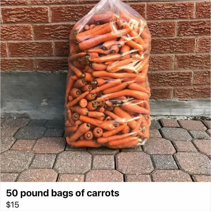 Bolsas de 23 kilos de zanahorias