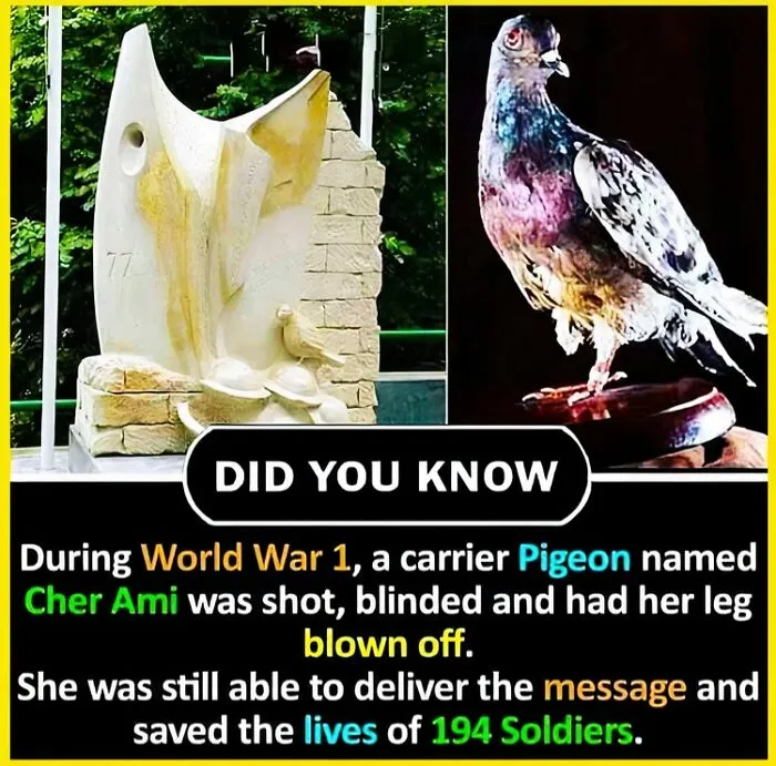 30 Fun, Interesting, And Strange Facts You Might Not Have Heard Of Before