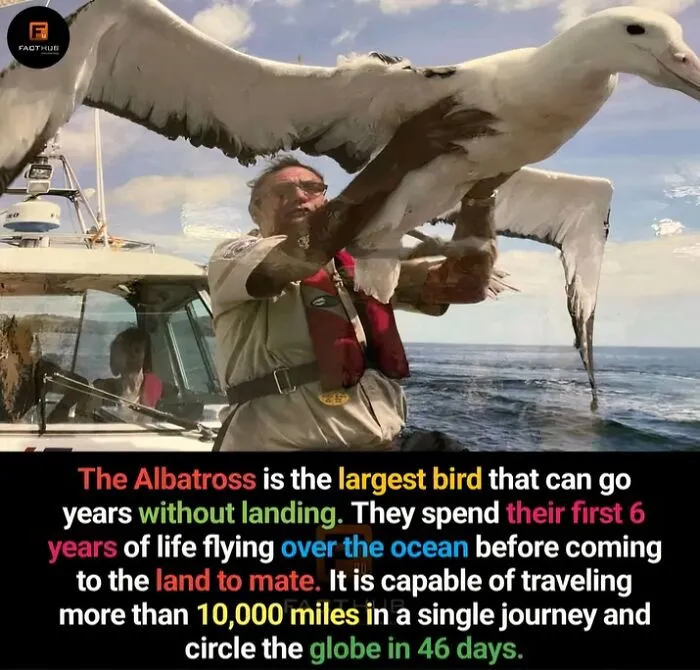 30 Fun, Interesting, And Strange Facts You Might Not Have Heard Of Before