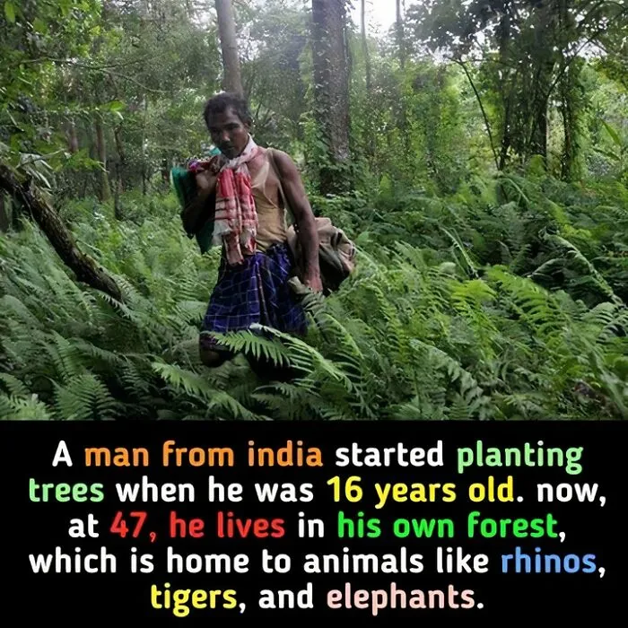 30 Fun, Interesting, And Strange Facts You Might Not Have Heard Of Before
