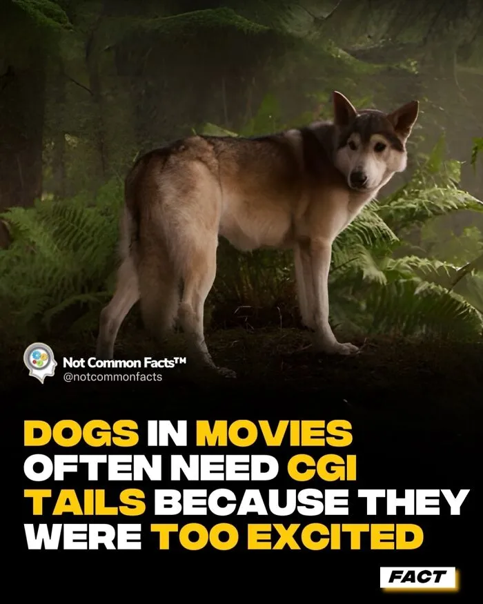 30 Surprising Facts That Prove Our World Is Full Of Fascinating Secrets (New Pics)