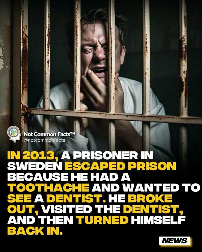 30 Surprising Facts That Prove Our World Is Full Of Fascinating Secrets (New Pics)
