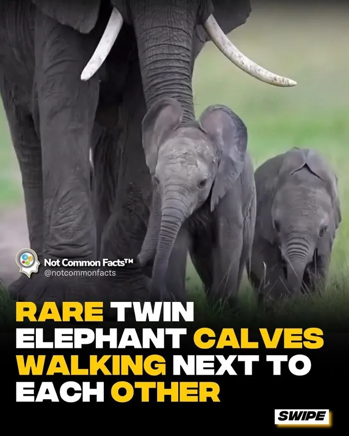30 Surprising Facts That Prove Our World Is Full Of Fascinating Secrets (New Pics)
