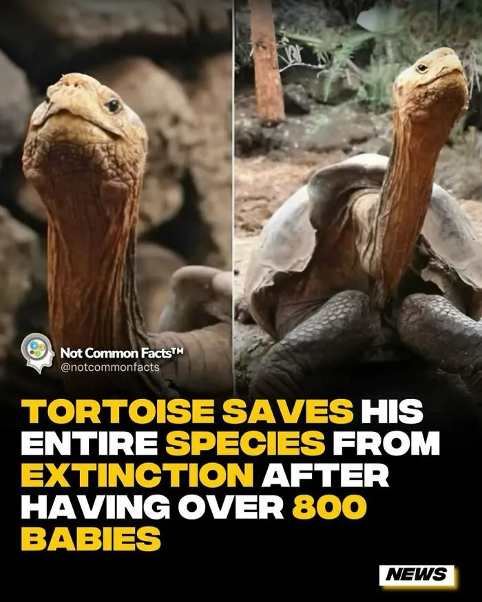 30 Surprising Facts That Prove Our World Is Full Of Fascinating Secrets (New Pics)