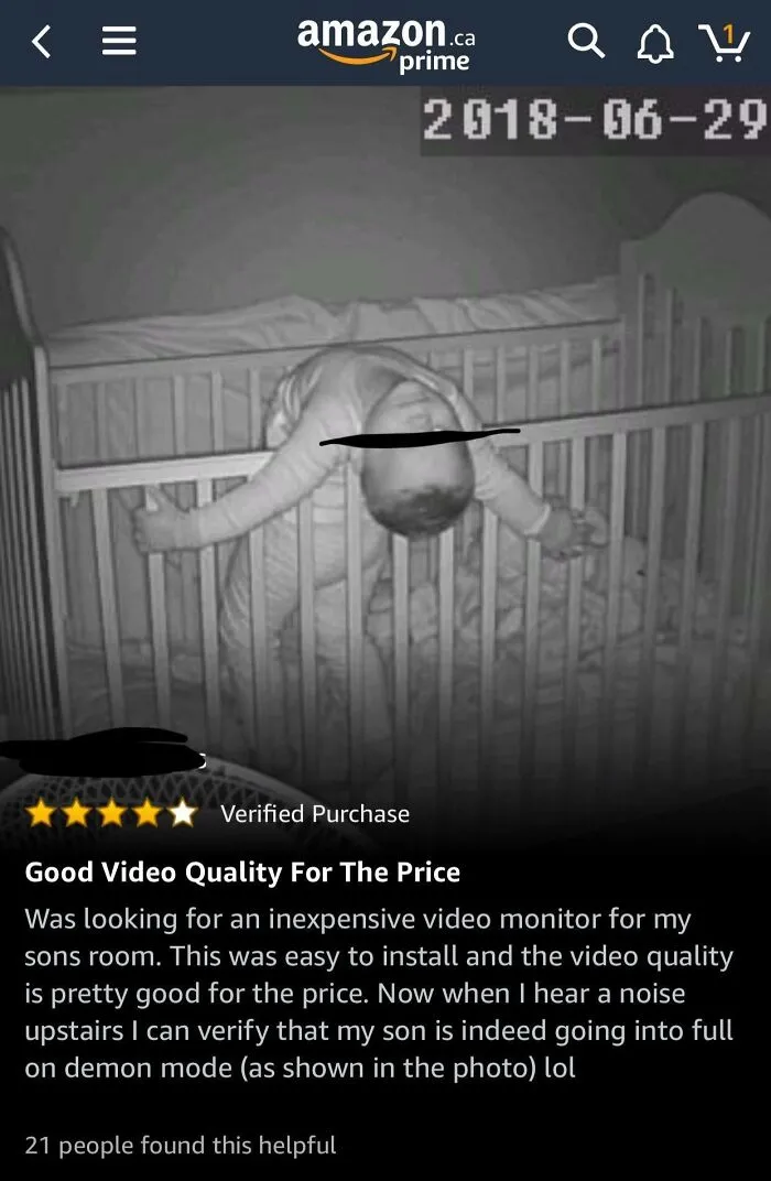 Found This Gem Of A Review While Looking For Pet Cams
