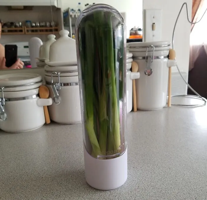 No More Wilted Woes! <a Style="Display:inline;" Href="Https://Www.amazon.com/Herb-Saver-Keeper-Freshest-Produce/Dp/B016i5tumy?ie=utf8&linkcode=ll1&tag=bpcamel-20&linkid=08f01f33c2697f0af97149e2d4b648e9&language=en_us&ref_=as_li_ss_tl" Target="_blank"><span Style="Font: Inherit; Color: #d74b1f;"> Herb Saver</Span> Keeps Your Parsley From Going Parsley-Ously Bad, So You Can Stay Fresh And Fabulous In The Kitchen