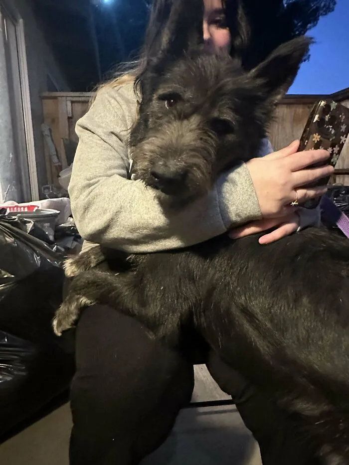 Not Sure What Kinda Dog He Is But Meet Pawl, Recently Got Him From The Shelter (: