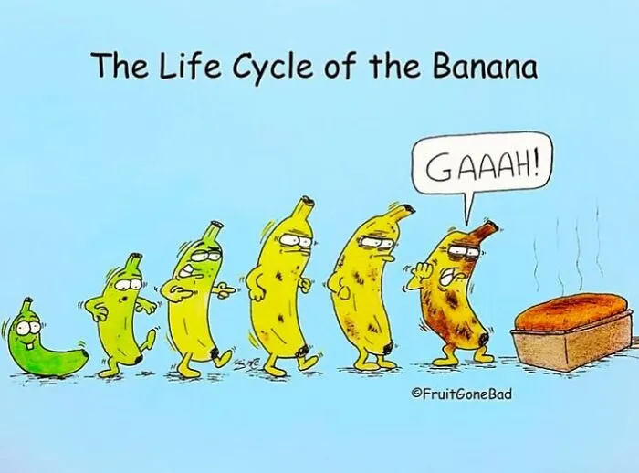 33 Funny And Slightly Inappropriate Comics From ‘Fruit Gone Bad’ (New Pics)