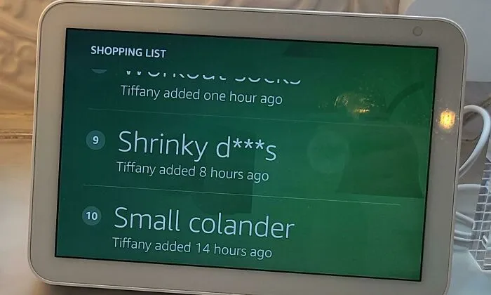 My Alexa Misunderstood Adding "Shrinky Dinks" To My Shopping List