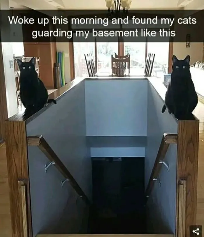 Egyptian Guardians Of The Underworld