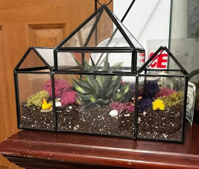 This <a Style="Display:inline;" Href="Https://Www.amazon.com/Deco-Glass-Heart-Plant-Terrarium/Dp/B0cwb658p6?ie=utf8&th=1&linkcode=ll1&tag=bpcheetah-20&linkid=08a01ab42fb38533028c4bce5ae9b224&language=en_us&ref_=as_li_ss_tl" Target="_blank"><span Style="Font: Inherit; Color: #d74b1f;"> Geometric Plant Terrarium </Span> Is The Perfect Way To Give The Gift Of Growth, Bringing A Little Bit Of Nature's Beauty Into Their Home!