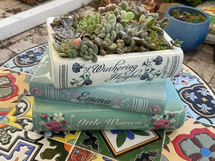 Grow Your Love (And Your Plants) With This Adorable <a Style="Display:inline;" Href="Https://Www.amazon.com/Book-Shaped-Decorative-Planter-Bookshelf-Bookstack/Dp/B0cq64ly3b?ie=utf8&linkcode=ll1&tag=bpcheetah-20&linkid=6ec69a987e18df1d0024b96b6101366f&language=en_us&ref_=as_li_ss_tl" Target="_blank"><span Style="Font: Inherit; Color: #d74b1f;"> Book-Shaped Planter </Span> - Because Nothing Says "I Care" Like A Planter Of Succulents That Won't Dramatically Die On Them