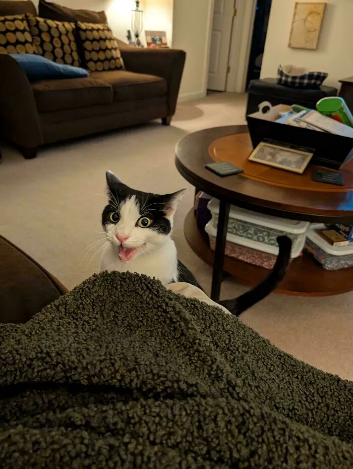 Dinner Is In 5 Minutes