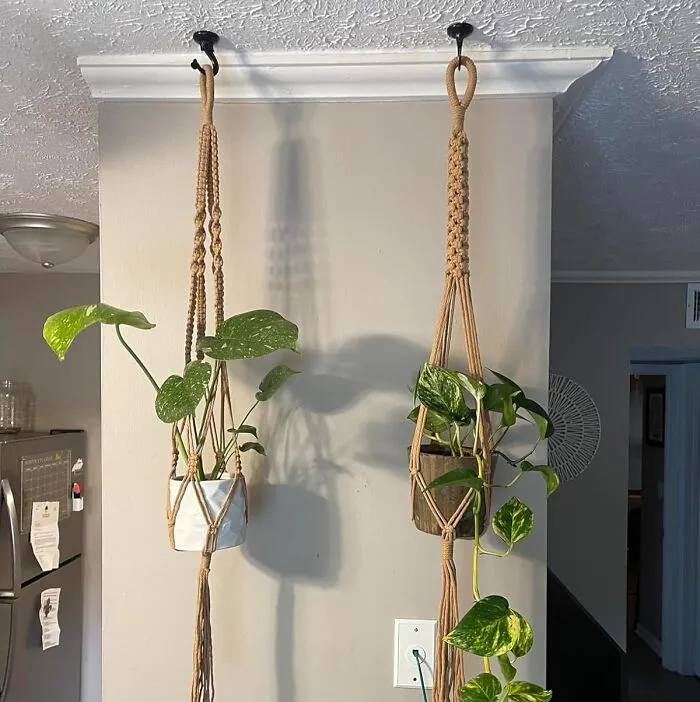 Hang Loose (And Your Plants Too) With The <a Style="Display:inline;" Href="Https://Www.amazon.com/4-Pack-Macrame-Plant-Hanger-Decorative/Dp/B09738dt85?ie=utf8&th=1&linkcode=ll1&tag=bpapple-20&linkid=96f42957413fc325eb75ba610b0a45f7&language=en_us&ref_=as_li_ss_tl" Target="_blank"><span Style="Font: Inherit; Color: #d74b1f;"> Macrame Plant Hanger </Span> - A Boho-Chic Way To Bring Some Greenery To Your Rental Without Damaging The Walls!
