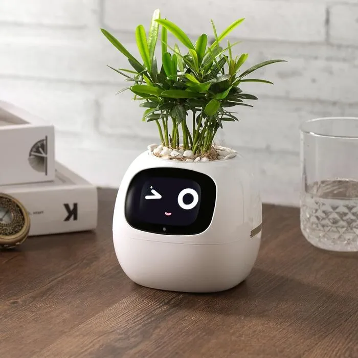 Meet The Ultimate Plant Pal: The <a Style="Display:inline;" Href="Https://Www.amazon.com/Dp/B0c8fklpmw?ascsubtag=7794621%2c6%2c28%2cd%2c0%2c0%2c0%2c900%3a2%3b974%3a3%3b1125%3a2%3b1338%3a1%2c56178410%2c0%2c0%2cgoogle&btn_ref=srctok-Fad37610be207c99&th=1&linkcode=ll1&tag=bparmadillo-20&linkid=ac1285efa55c2f4a183ebbaef6cc2ec9&language=en_us&ref_=as_li_ss_tl" Target="_blank"><span Style="Font: Inherit; Color: #d74b1f;"> Smart Planter </Span>. This Adorable Robot Planter Buddy Lets You Know When Your Plant Is Thirsty, Making It Easy To Keep Your Green Friend Happy And Healthy