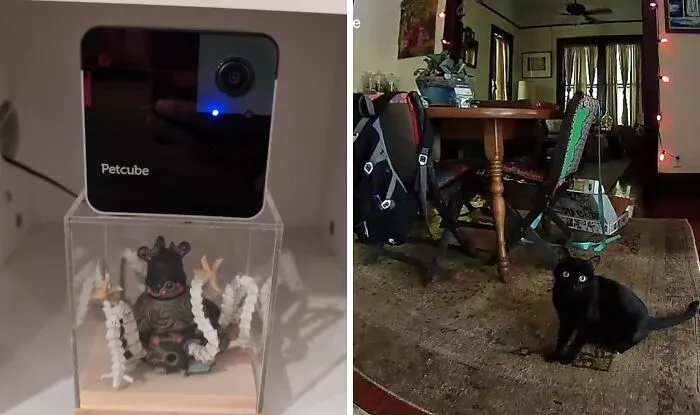 Treat Your Fur Babies To A Futuristic Playdate With The <a Style="Display:inline;" Href="Https://Www.amazon.com/Petcube-Camera-Built-Full-Room-Monitoring/Dp/B07r3g87rg?ie=utf8&th=1&linkcode=ll1&tag=bparmadillo-20&linkid=700ccb3293201add5745977cf7dd000d&language=en_us&ref_=as_li_ss_tl" Target="_blank"><span Style="Font: Inherit; Color: #d74b1f;"> Petcube Camera And Laser Toy </Span>. This Innovative Gadget Lets You Play With And Monitor Your Pets Remotely, Ensuring They Stay Entertained And Happy