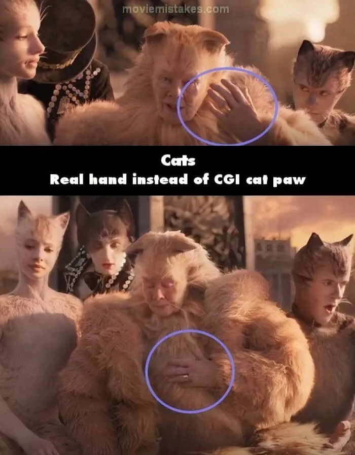 Cats