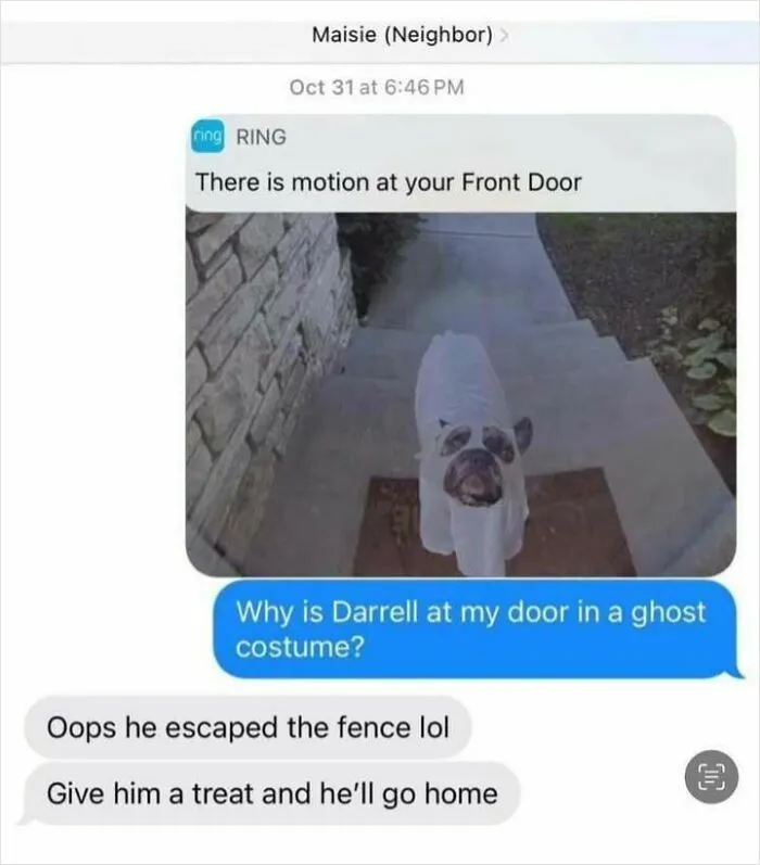 50 Posts That Show There’s Still Good Things Happening In The World