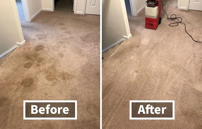 Give Your Carpets The Deep Clean They're Begging For With A Potent <a Style="Display:inline;" Href="Https://Www.amazon.com/Carpet-Miracle-Concentrated-Solution-Deodorizing/Dp/B00wimuvu2?ie=utf8&th=1&linkcode=ll1&tag=bpstarfish-20&linkid=bb77033c70b6e9d55651ba408a74ebee&language=en_us&ref_=as_li_ss_tl" Target="_blank"><span Style="Font: Inherit; Color: #d74b1f;"> Carpet Cleaner Shampoo</Span> That Lifts Dirt, Stains, And Mystery Odors, Leaving Them Looking And Smelling Fresh