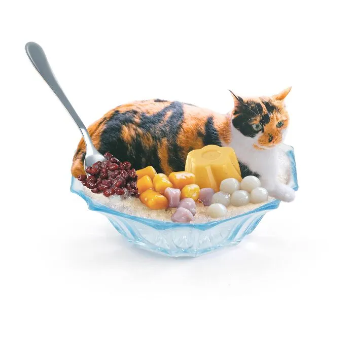 This Artist Serves Up Adorable Cat-Inspired Food Art (20 Pics)