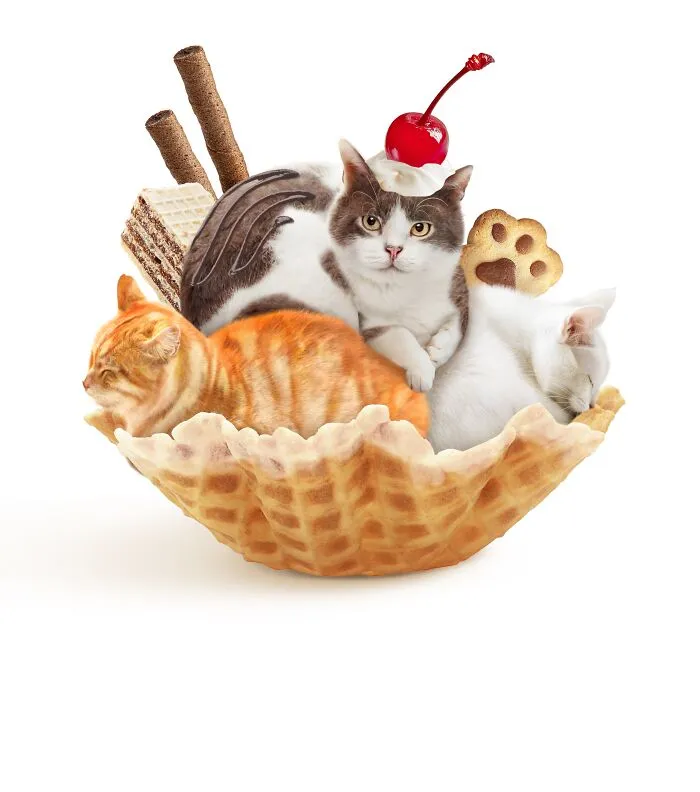 This Artist Serves Up Adorable Cat-Inspired Food Art (20 Pics)
