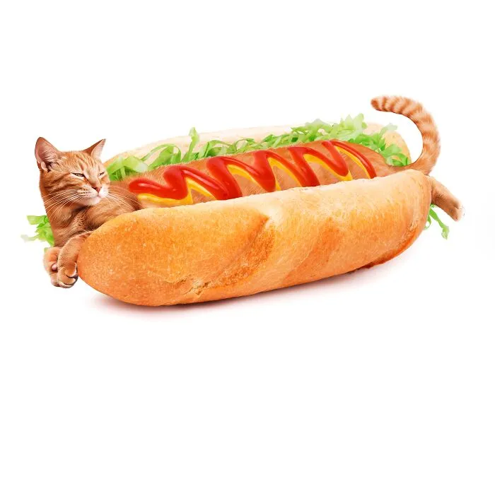 This Artist Serves Up Adorable Cat-Inspired Food Art (20 Pics)