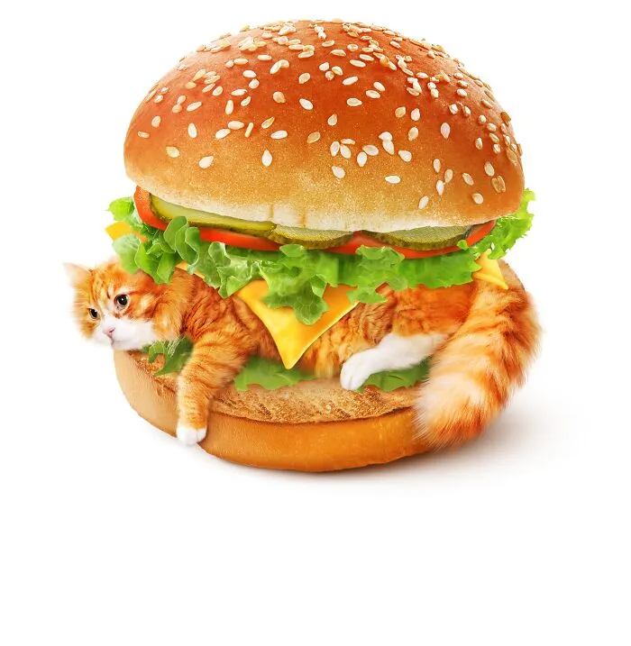 This Artist Serves Up Adorable Cat-Inspired Food Art (20 Pics)