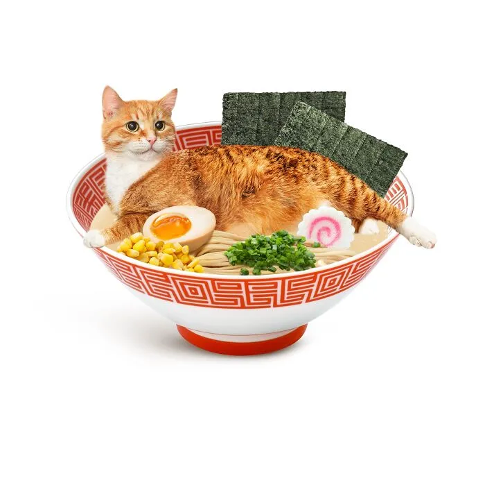 This Artist Serves Up Adorable Cat-Inspired Food Art (20 Pics)