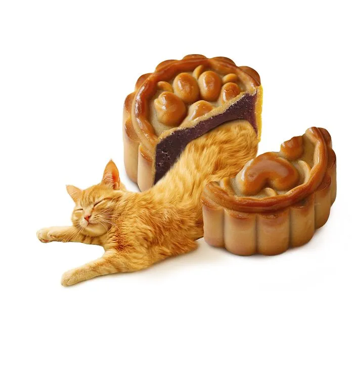 This Artist Serves Up Adorable Cat-Inspired Food Art (20 Pics)