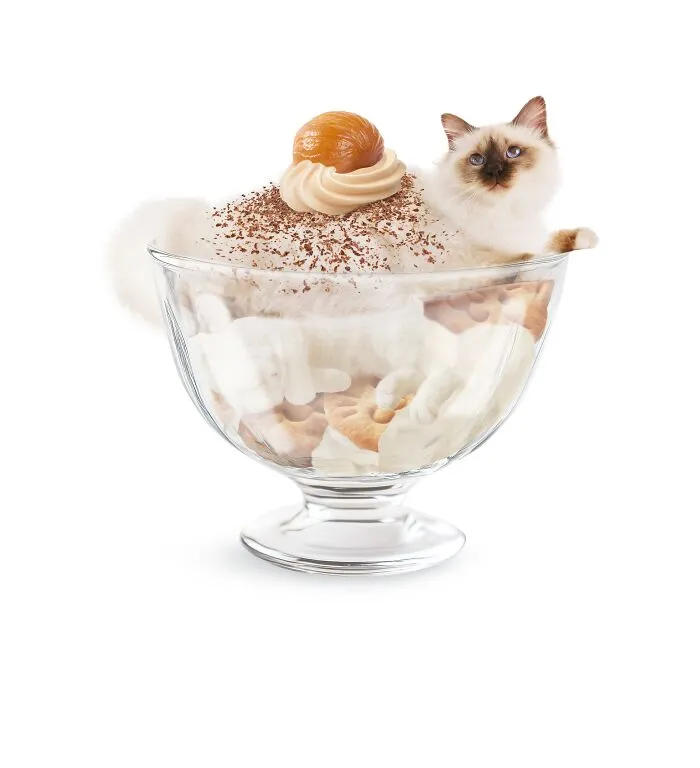 This Artist Serves Up Adorable Cat-Inspired Food Art (20 Pics)