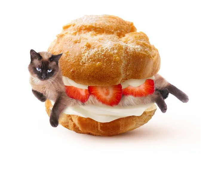 This Artist Serves Up Adorable Cat-Inspired Food Art (20 Pics)