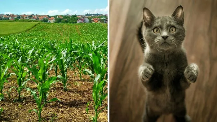 30 Moments In History That Got Ghosted By Humanity