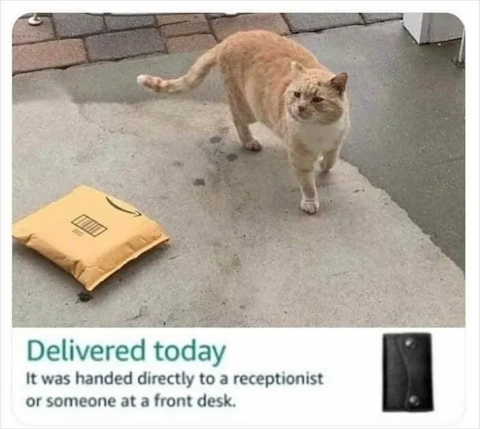 36 Funny And Furry Pics Of Cats Who Aren’t Afraid Of A Hard Day’s Work