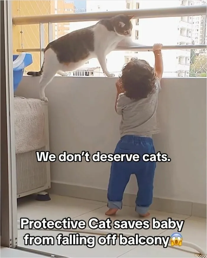 36 Funny And Furry Pics Of Cats Who Aren’t Afraid Of A Hard Day’s Work