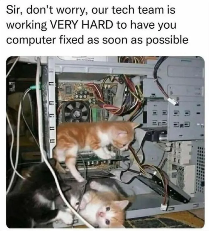 36 Funny And Furry Pics Of Cats Who Aren’t Afraid Of A Hard Day’s Work