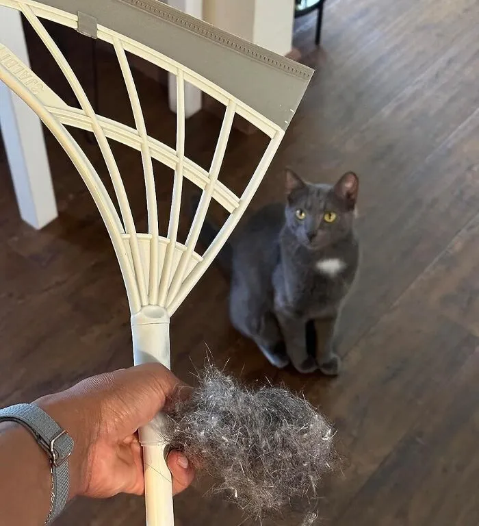 Clean Up Any Mess Quick With An Incredible <a Style="Display:inline;" Href=" Https://Www.amazon.com/Original-Broombi-All-Surface-Silicone-Squeegee/Dp/B0b27bf6hy?ie=utf8&th=1&linkcode=ll1&tag=bpwalrus-20&linkid=c7987340d0a595d16bc97125fc710f11&language=en_us&ref_=as_li_ss_tl" Target="_blank"><span Style="Font: Inherit; Color: #d74b1f;"> All Surface Silicone Broom</Span>, Because Sweeping Doesn't Have To Be A Drag, This Guy Is The Real Deal