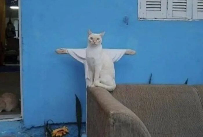 50 Posts So Unhinged, You May End Up Laughing While Glancing Over Your Shoulder