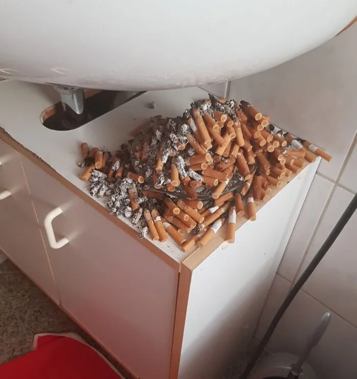 My Parents Are The Reason Why I Hate Smoking. My Parents Just Almost Never Clean Their Stuff. Its Kinda Disgusting Ngl. It Has Been Worse Before Though