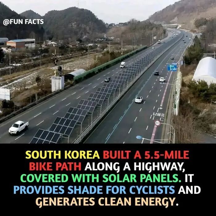 30 Fun, Interesting, And Strange Facts You Might Not Have Heard Of Before