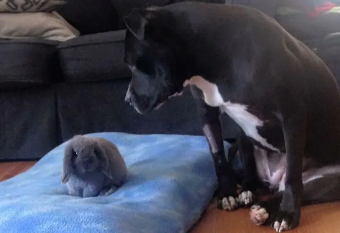 She Can’t Say No To Her Best Friend