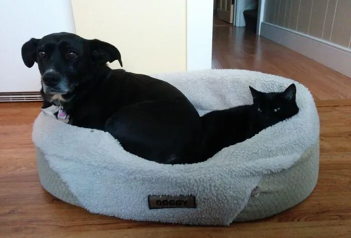 An Uneasy (And Temporary) Truce