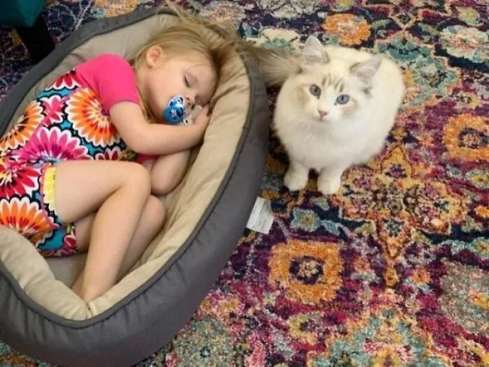 Not A Dog But I Feel Like This Counts?