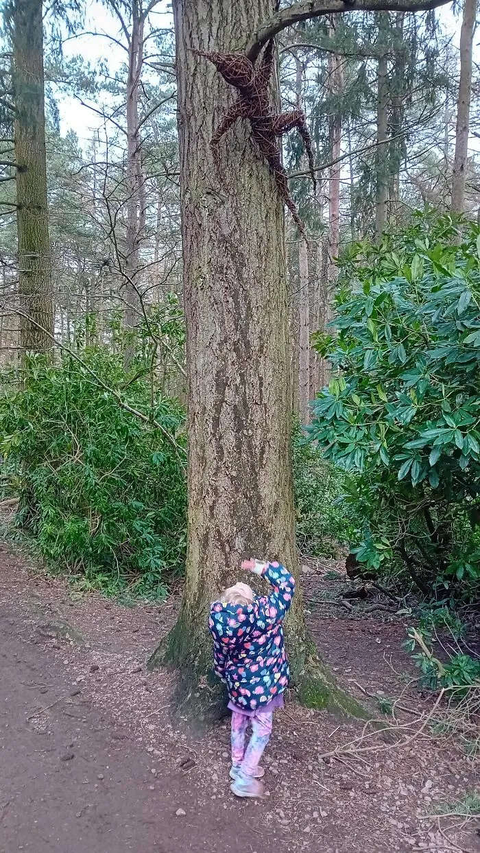 Child in a colorful jacket looking up a tree with an oddly terrifying spider sculpture in a forest.