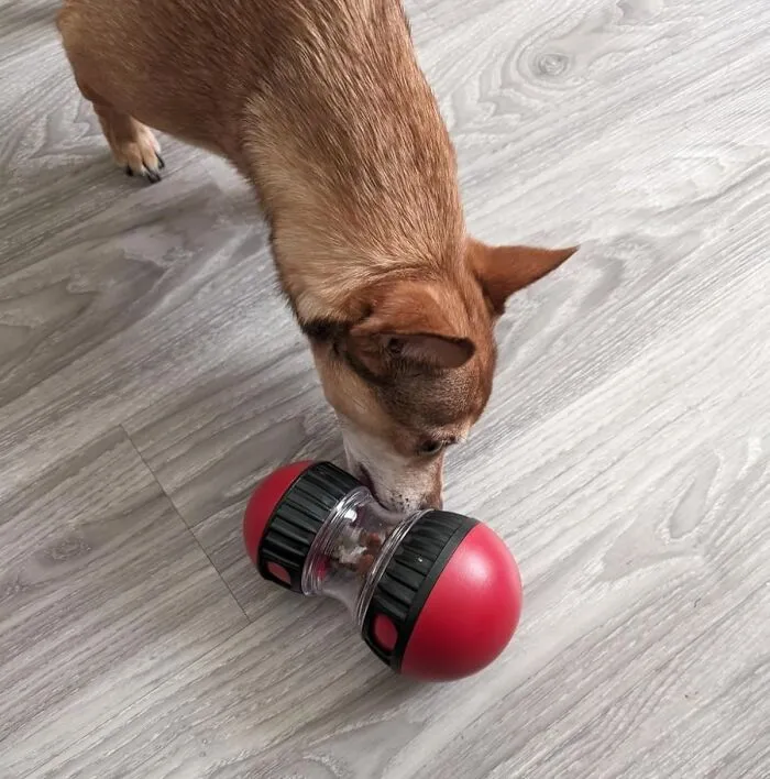 A Delicious Distraction - This <a Style="Display:inline;" Href="Https://Www.amazon.com/Mankoda-Rolling-Dispensing-Stimulation-Enrichment/Dp/B0cx8hjz46?ie=utf8&linkcode=ll1&tag=bppanther-20&linkid=44a72ffe3f15f01e7cad1fabfd4eeb23&language=en_us&ref_=as_li_ss_tl" Target="_blank"><span Style="Font: Inherit; Color: #d74b1f;"> Dog Treat Toy </Span> Is The Paw-Fect Way To Keep Your Furry Friend Occupied, Stimulated, And Rewarded, All While Savoring The Flavor Of A Tasty Treat