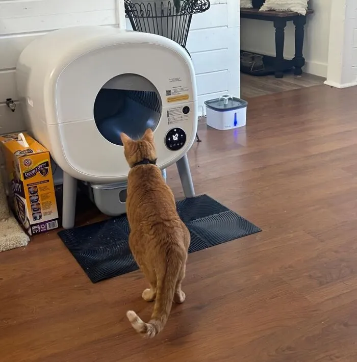 The Purr-Fect Solution For The Scoop-Averse - This <a Style="Display:inline;" Href="Https://Www.amazon.com/Cumrige-Cleaning-Automatic-Multiple-Protection/Dp/B0dfm4z71x?ie=utf8&linkcode=ll1&tag=bppanther-20&linkid=8d6631eee0aa021f98b2c7be7103f428&language=en_us&ref_=as_li_ss_tl" Target="_blank"><span Style="Font: Inherit; Color: #d74b1f;"> Self-Cleaning Litter Box </Span> Is The Unsung Savior Of Your Sanity (And Your Nose), Automating The Crappiest Part Of Pet Parenthood
