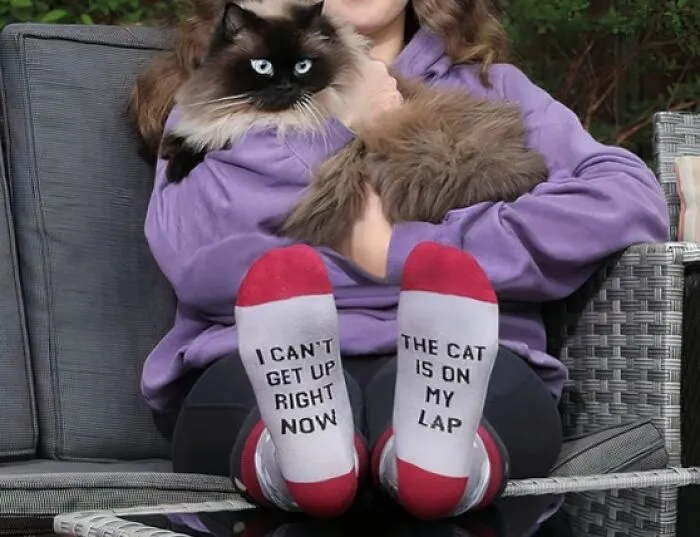 The Purr-Fect Excuse Is Now At Your Feet - Slip Into These <a Style="Display:inline;" Href="Https://Www.amazon.com/Cavertin-Womens-Novelty-Socks-Lover/Dp/B07x2m4qks?crid=2h1xwkpvt3oxp&dib=eyj2ijoimsj9.ie0stty_to2prt63yuir50dbju1dmqbcrkjvmit1gfcwtk-Cf9znlqije7aojyfmblva8kjgs1d3cbiqicou2h9gamhqwdld-Rcmykxwozinnjgvntwsap8owkqc5qmtqiqov20mecx1tcuqysfifbc6yseukr9_egt-Fhwg-Vvp0kbdeg9blzyn2hxm50tfsjdvwhz0e-5lvz_ybeknlgf-Rotntbpruaq9-Hmismoarur7ylipyfbrrgtrlhbk8vz1mx_9sq1keizqbffmvehb2an7_ncoe5ixyvlntvgfbpt5hozqzmsmfufpmst7g2rk-Xxbf6hxkgxwssiomp1fu0nw8q-R2fg4iwmcif8v2t4-Piturriemh9thztm4xprmc4hsyyemnd40ofcznm9tfttfzj0cy4tiyhgncoh01mxxz4wilpgbgrexire.slr_89oy2dfncsork4hek6pyj_lyuyrcqa7p_apn4ws&dib_tag=se&keywords=weird%2bthings&qid=1737715316&sprefix=weird%2bthing%2caps%2c281&sr=8-71&xpid=tgyiahwl_k9mr&th=1&psc=1&linkcode=ll1&tag=bptiger-20&linkid=a10bc8927fe3f1d90c2b2213d5e9a5e9&language=en_us&ref_=as_li_ss_tl" Target="_blank"><span Style="Font: Inherit; Color: #d74b1f;"> Funny Socks </Span> And Let Everyone Know That Feline Overlords Are The Real Reason You're Running Late