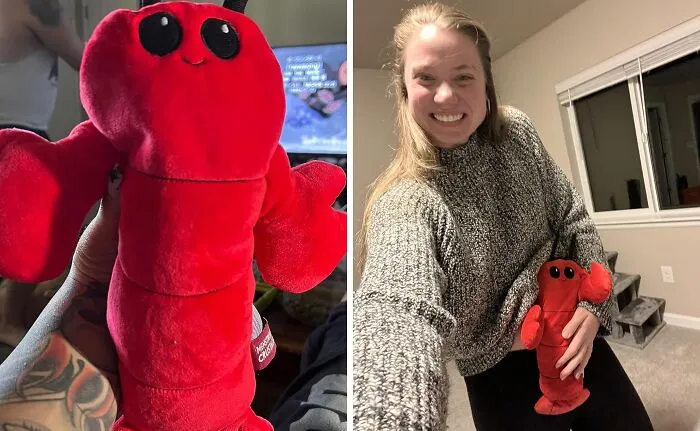 Okay, This Is Something Else. The <a Style="Display:inline;" Href="Https://Www.amazon.com/Menstruation-Crustacean-Lobster-Removable-Lavender/Dp/B09ptgq4ck?ie=utf8&th=1&linkcode=ll1&tag=bptiger-20&linkid=dbdce2c7e92ab4eb2b6e7aeb5c1e0df6&language=en_us&ref_=as_li_ss_tl" Target="_blank"><span Style="Font: Inherit; Color: #d74b1f;">  Menstruation Crustacean Lobster </Span> Is Actually Cute Enough To Make You Forget About Cramps For The Shortest Second