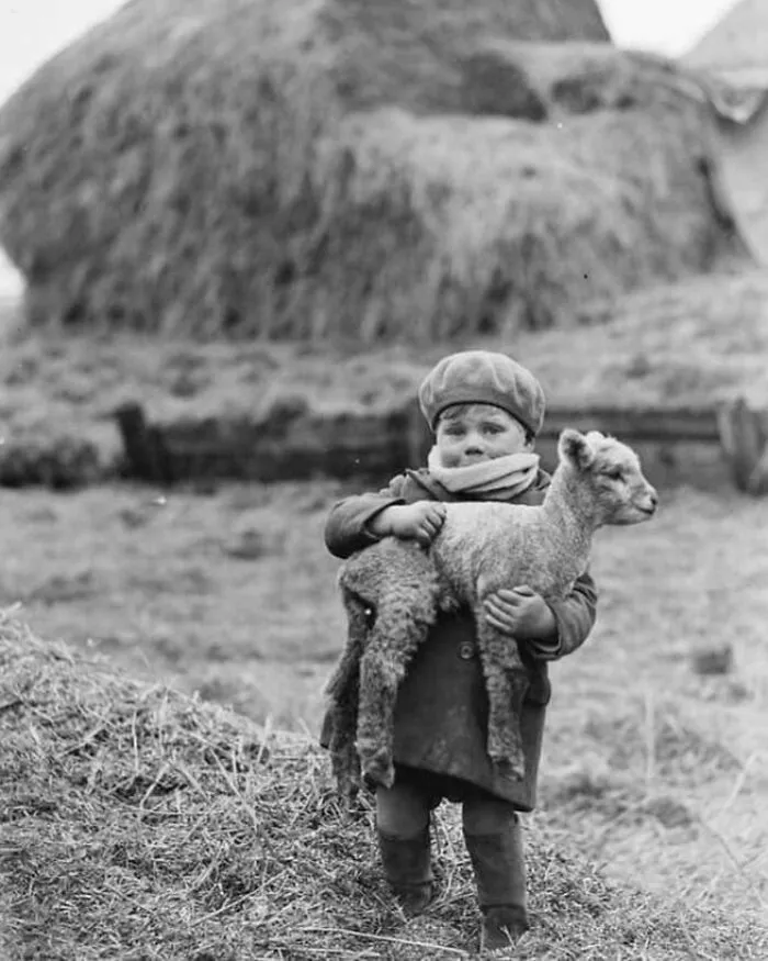 Niño cargando con un corderito en Escocia, 1932